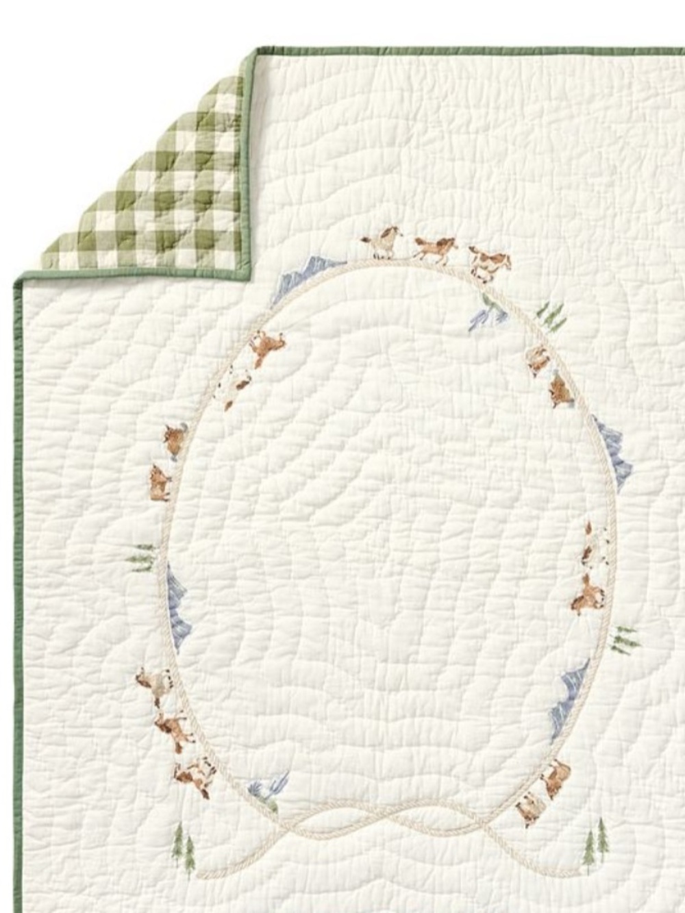 Pottery Barn Kids Cowboy & Gingham Baby Quilt & Matching Crib Sheet